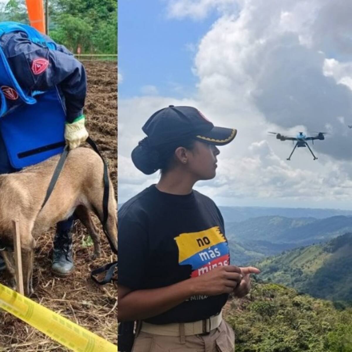 Ejército reporta 285 municipios libres de minas y operaciones activas en 20 departamentos