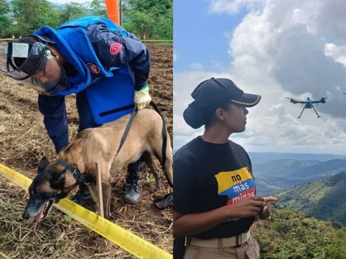 Ejército reporta 285 municipios libres de minas y operaciones activas en 20 departamentos