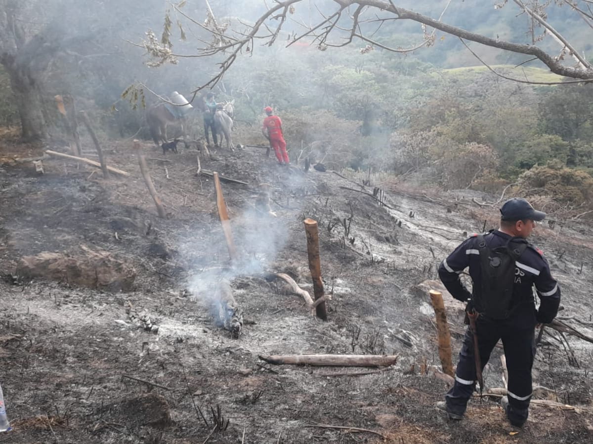 CAM alerta por incendios forestales en el Huila durante este 2023