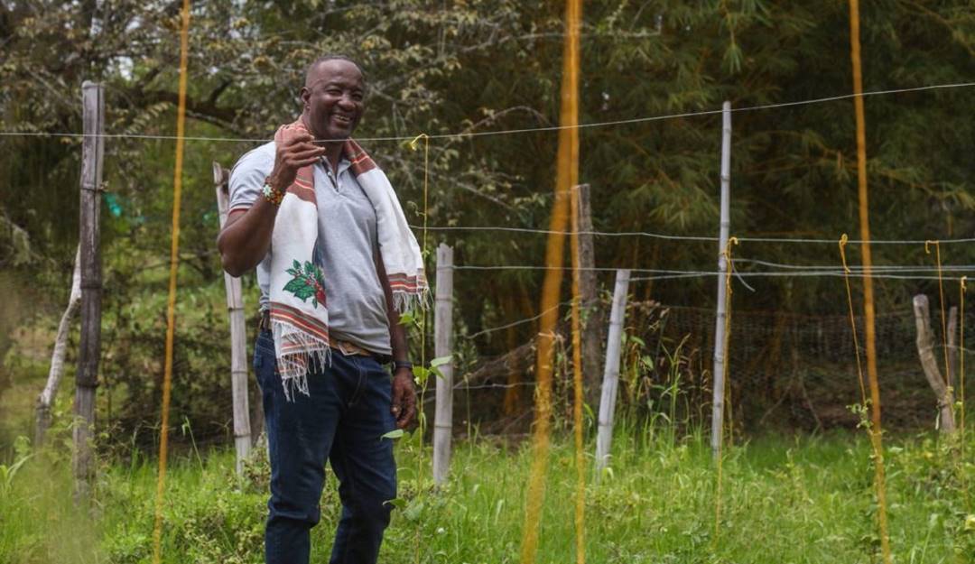 Personas que recuperaron sus tierras despojadas / Colprensa