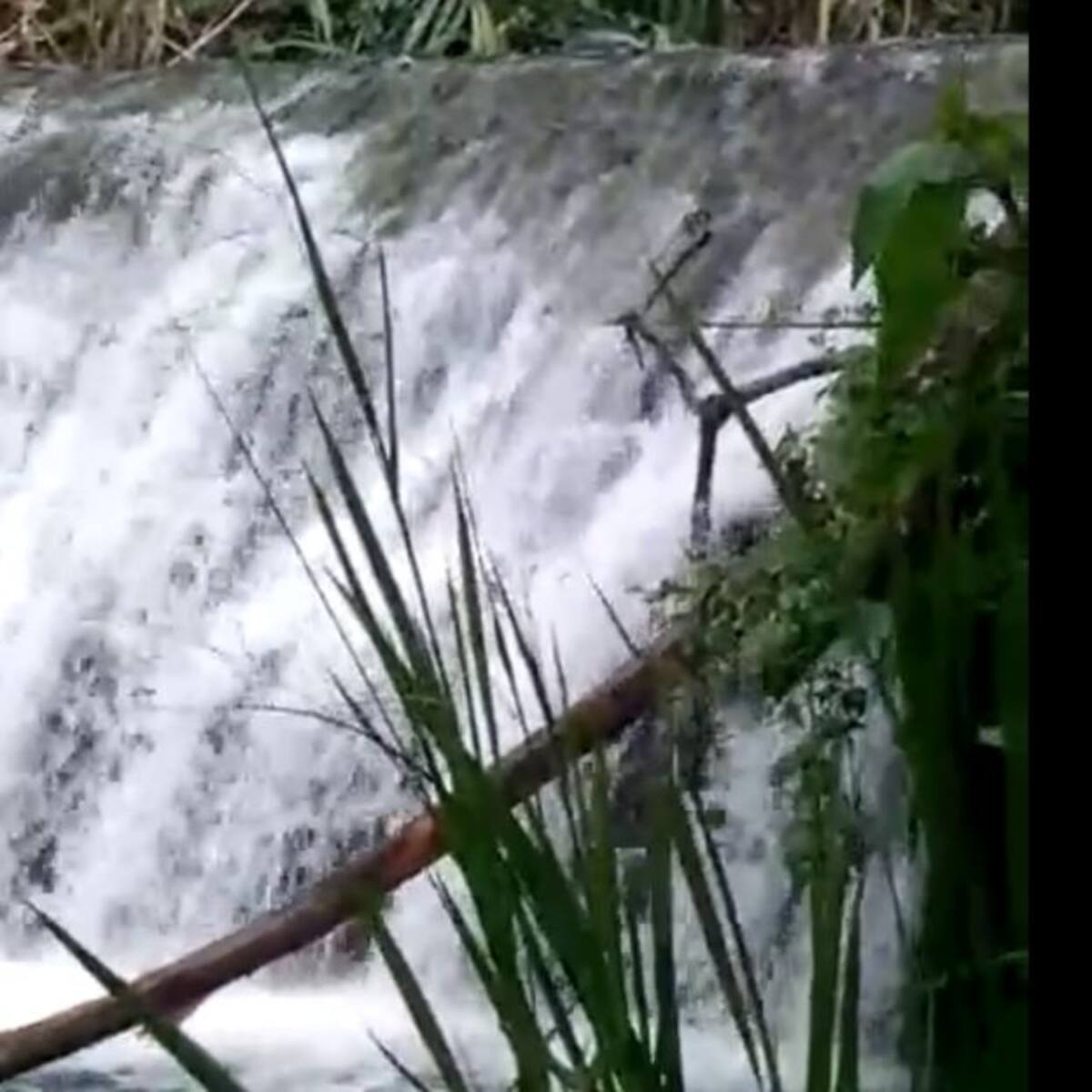 Integrante de la Defensa Civil en Guacarí salvó a bañistas de una creciente