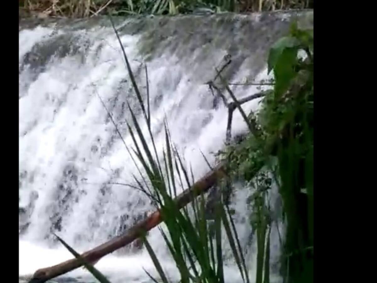Integrante de la Defensa Civil en Guacarí salvó a bañistas de una creciente