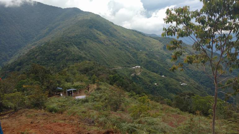 Veredas como esta, Orejón, también hay cultivos ilícitos.