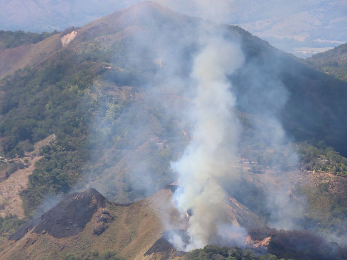 Logran controlar parcialmente incendio forestal en Natagaima, Tolima
