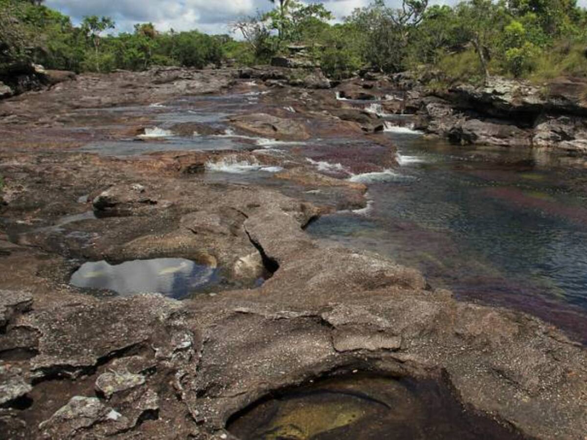 Listo nuevo sendero ecoturístico en Caño Cristales en el Meta
