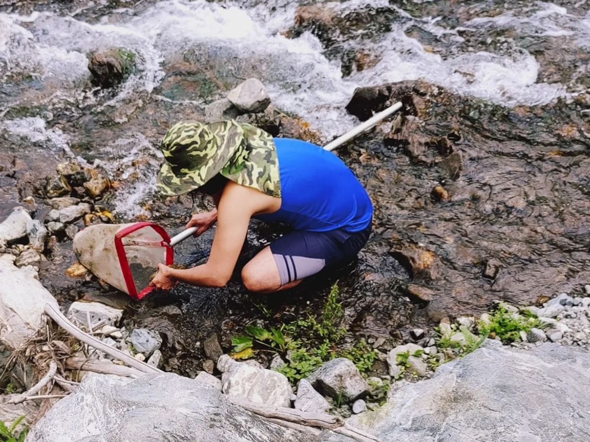 Larvas y gusanos están contando lo que pasa en el río Nima