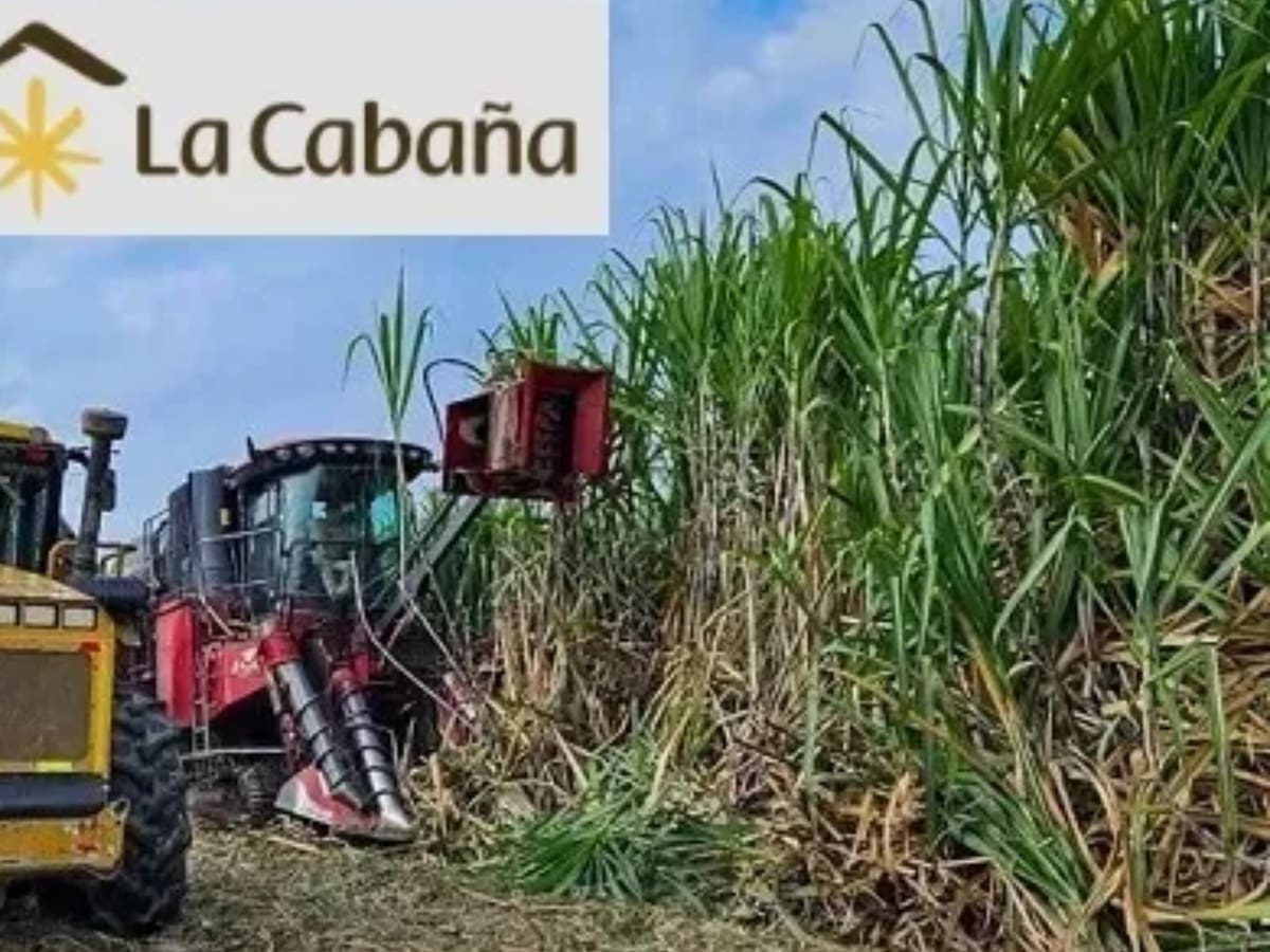 Por cierre de Ingenio La Cabaña podría estallar una crisis social muy grave, advierte Procaña