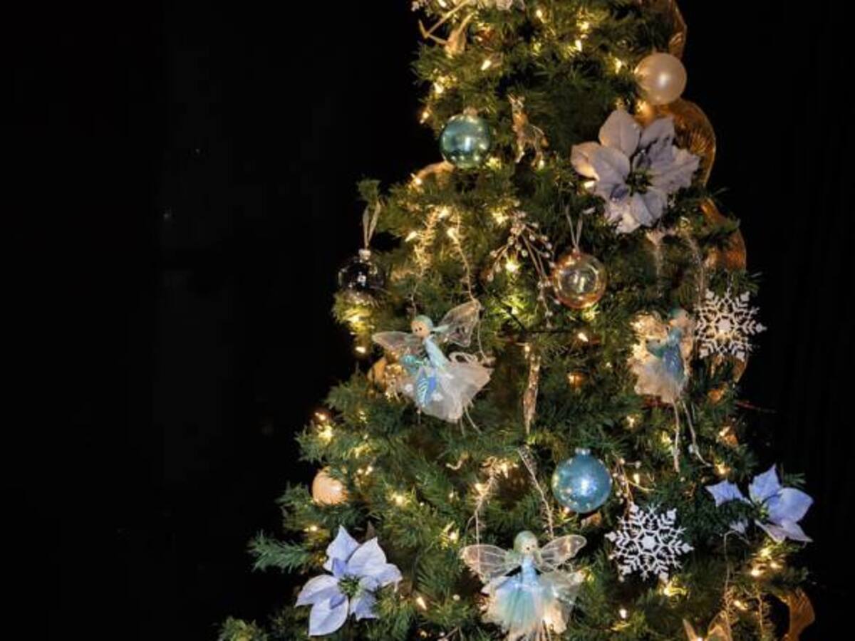 Un enorme árbol de Navidad va camino al Rockefeller Center