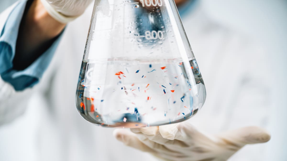 Encuentran microplásticos en el tejido cerebral