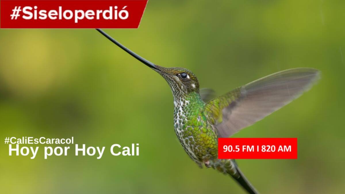 CALI HOY POR HOY 13 DE FEBRERO DEL 2020