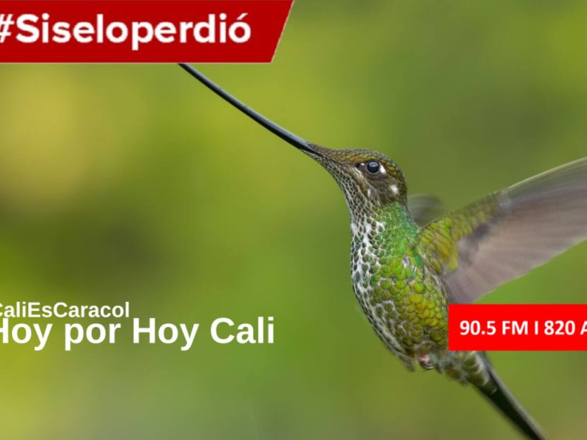 Cali Hoy por Hoy 13 de febrero del 2020
