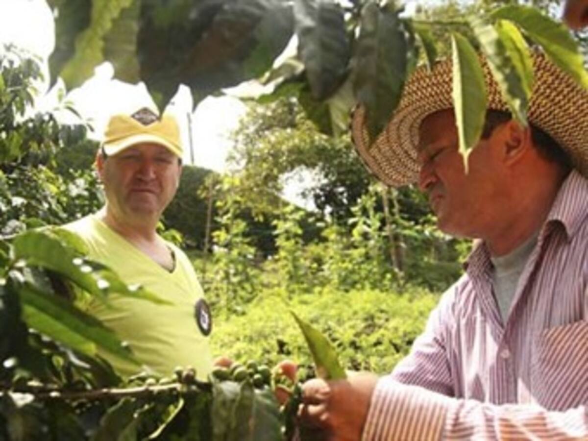 Entre 300 y 400 compradores de café están en la mira por fraude