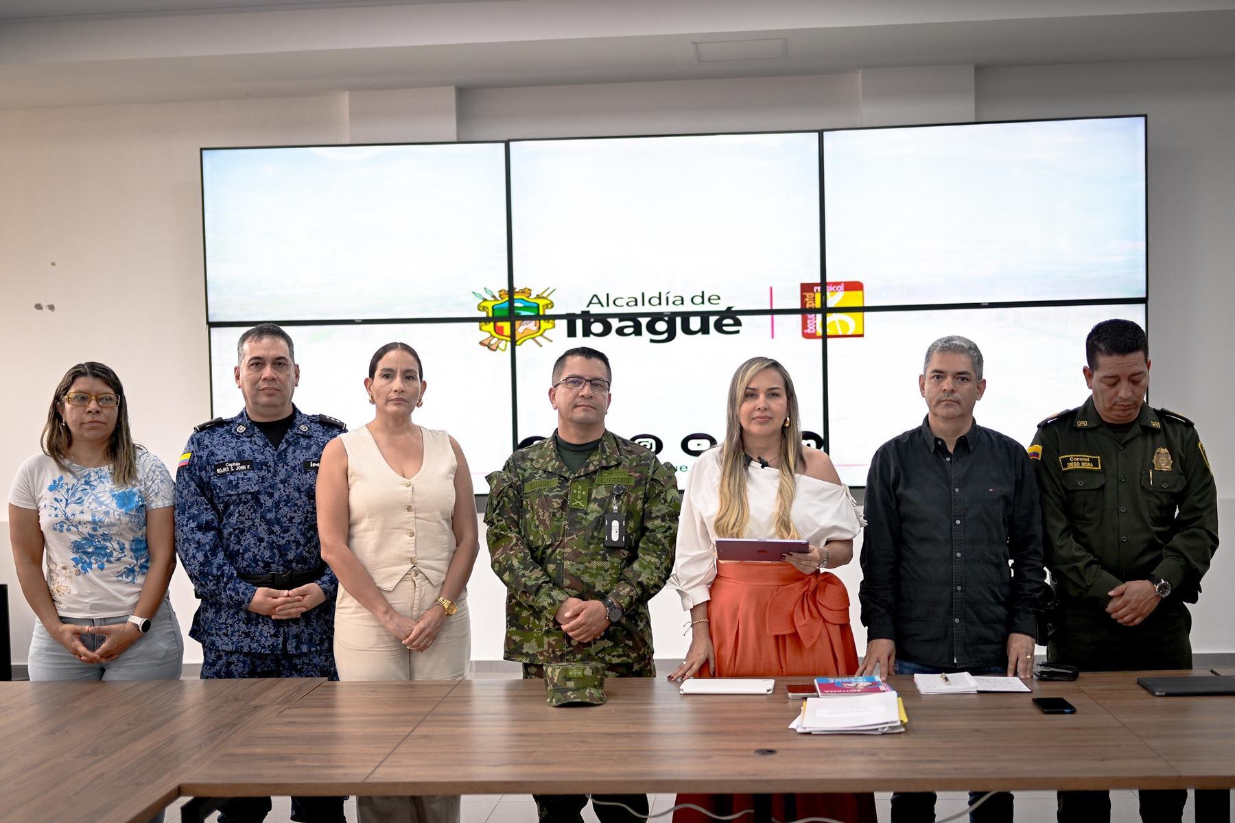 Consejo de Seguridad Ibagué