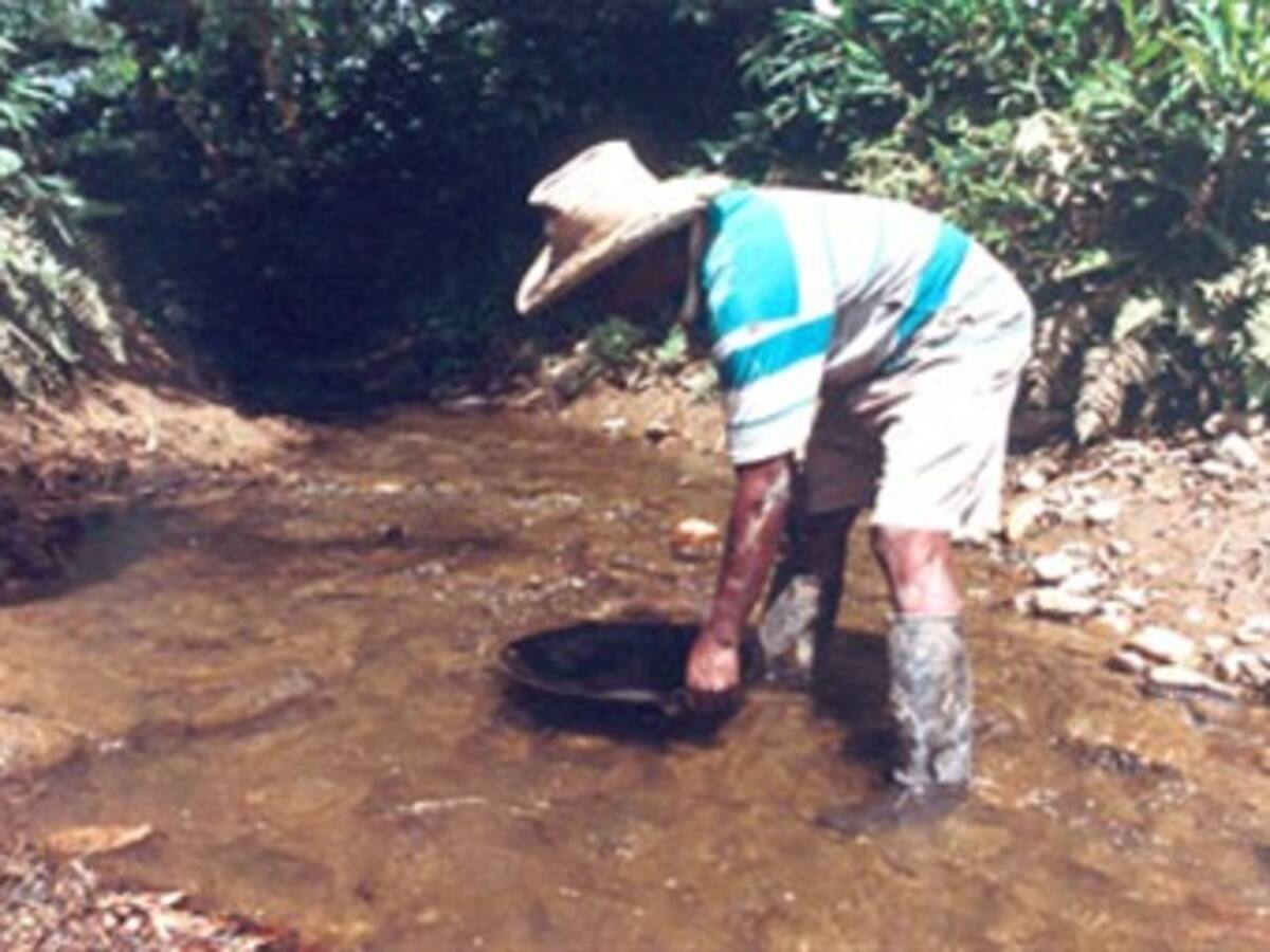 Oro Verde, una iniciativa que trabaja la minería con responsabilidad y respeto por el medio ambiente