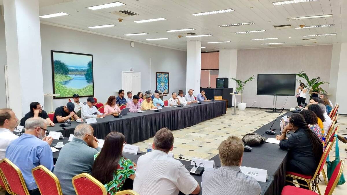 Gobierno y ELN seguirán evaluando la prórroga del cese al fuego