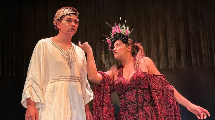 Teatro extranjero del FIAV 2026