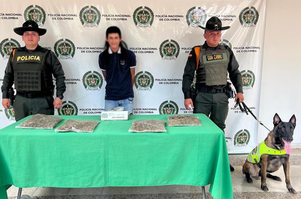 Canino antidrogas y su guía desmantelan punto de venta de estupefacientes en Neiva