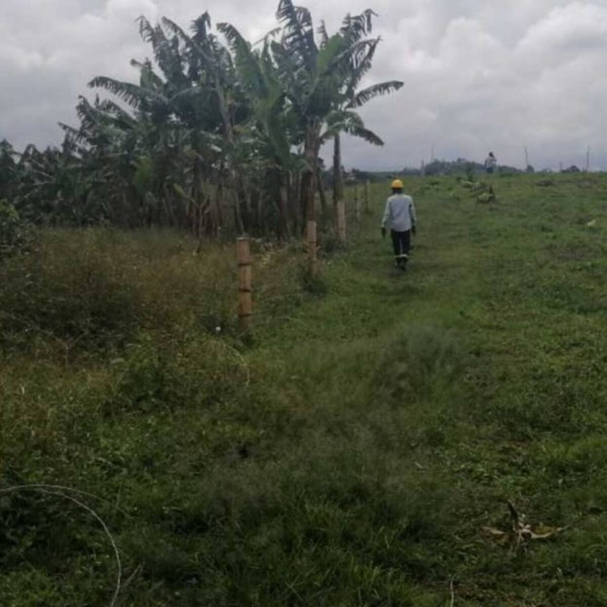 Un lote de 120m² utilizado ilegalmente fue recuperado en Pereira