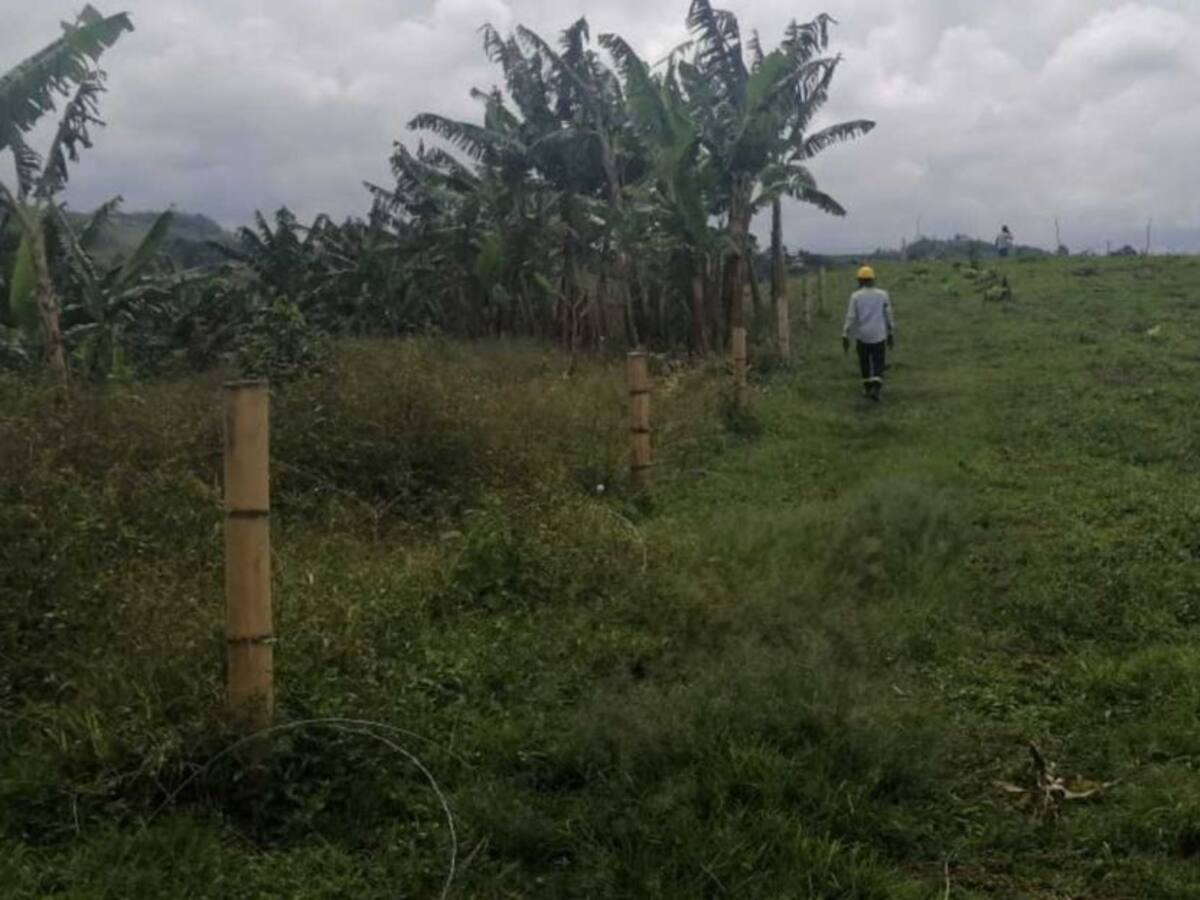 Un lote de 120m² utilizado ilegalmente fue recuperado en Pereira