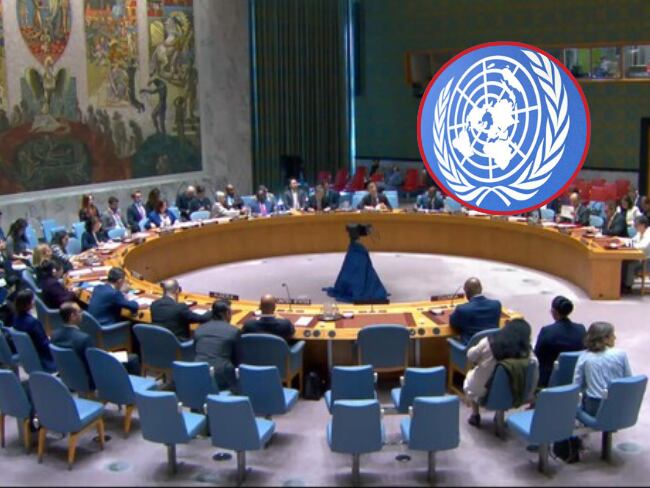 Presentación de Carlos Ruiz Massieu, delegado de la ONU en Colombia ante el Consejo de Seguridad de la ONU, en Nueva York (Captura de Pantalla)/  Colprensa y Eje21