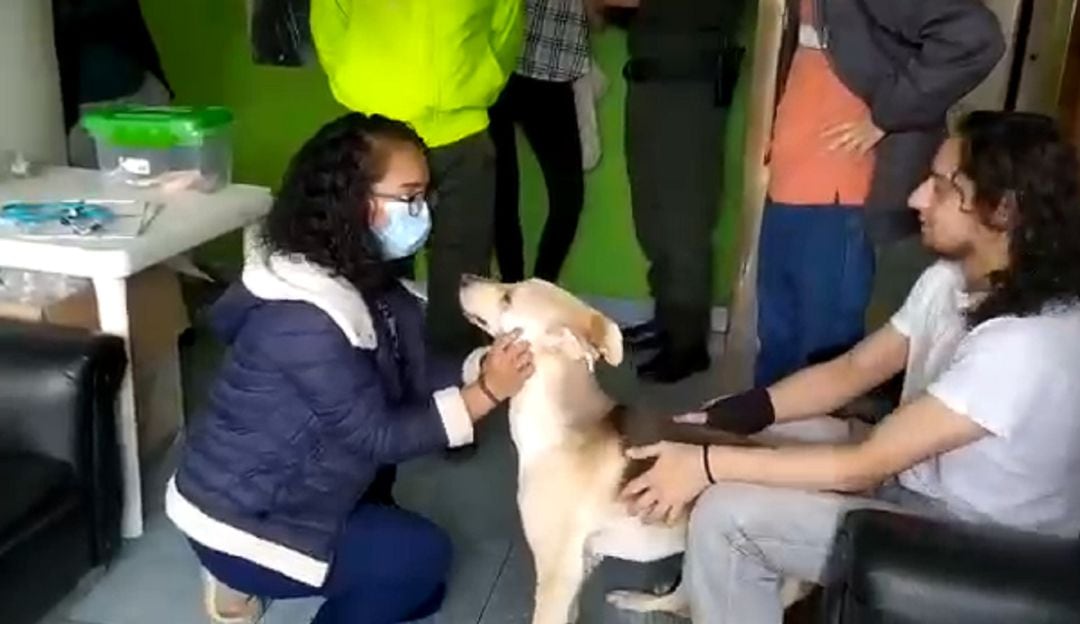 Autoridades verificaron posible caso de matrato animal en Pamplona