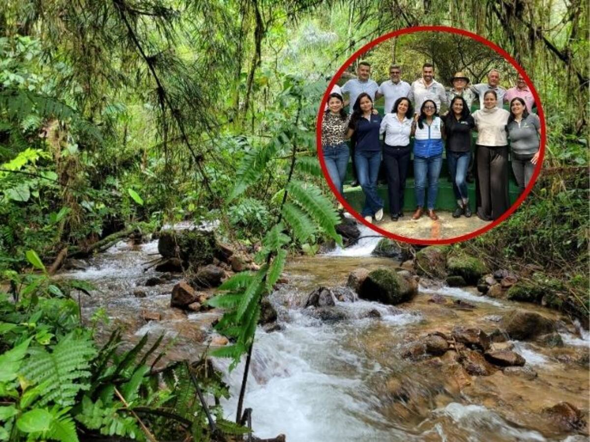 12 negocios verdes de Santander participarán en la COP16