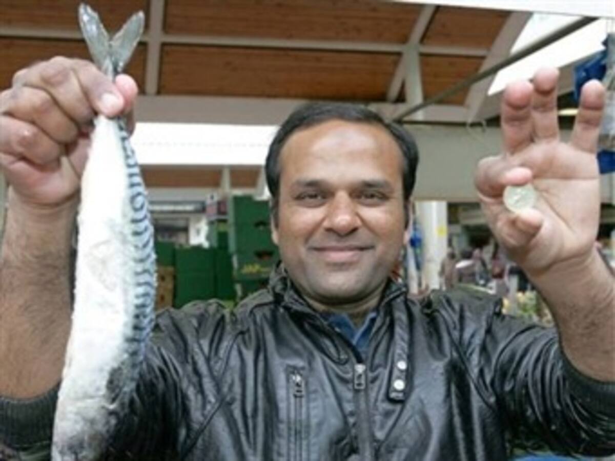 Esta es la nueva sensación en Internet: One Pound Fish