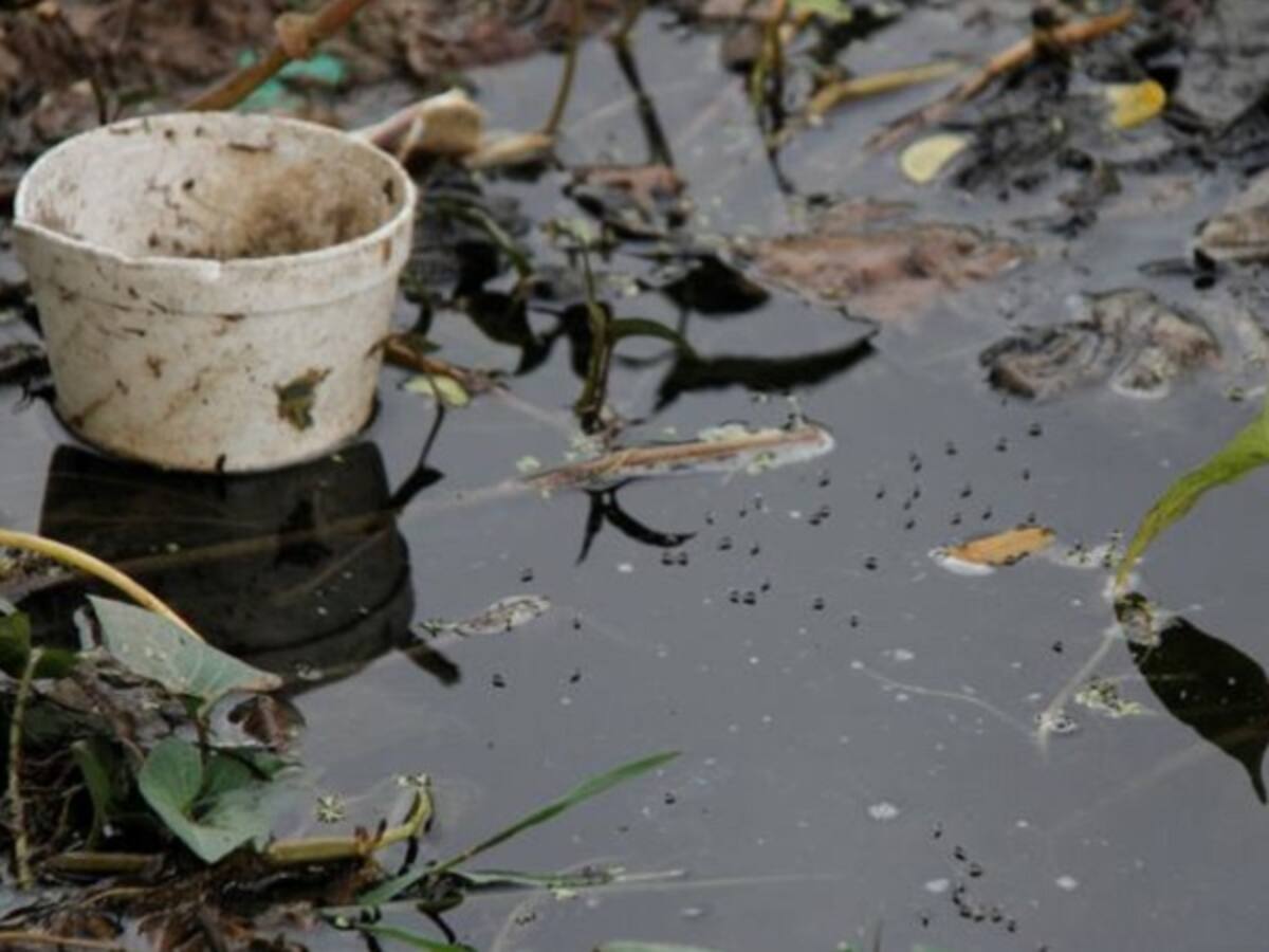 El INS confirma el primer caso de Zika en un bebé en Popayán
