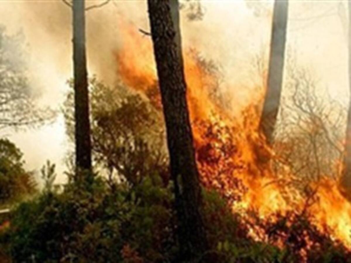 Gobierno Nacional iniciará acciones para contrarrestar los efectos del verano