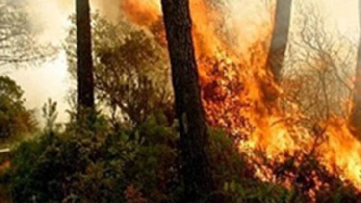 Gobierno Nacional iniciará acciones para contrarrestar los efectos del verano