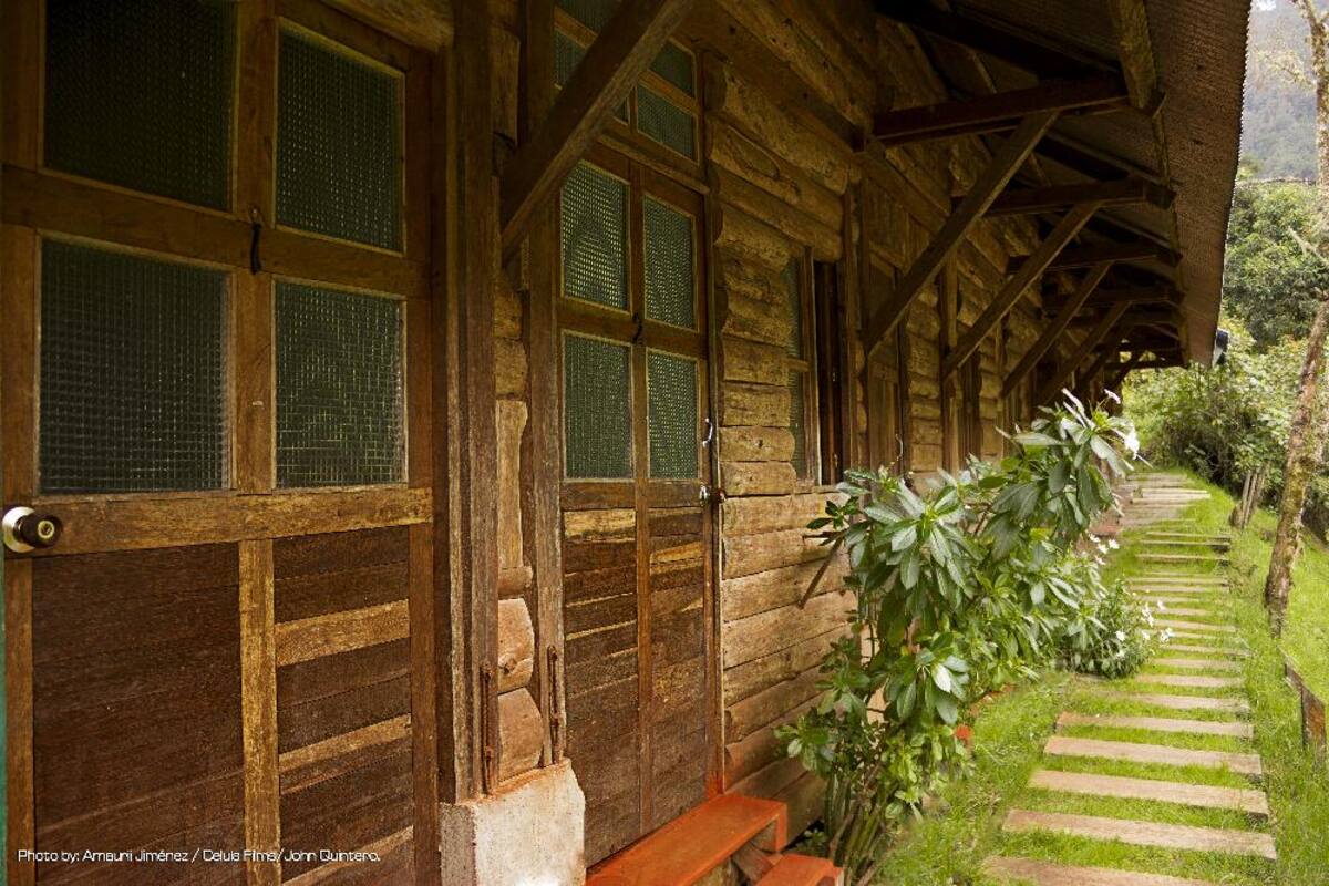 En estas piscinas termales, ubicadas en Santa Rosa de Cabal, se sentirá el placer del calor y las sales naturales; más que entretenimiento proporciona salud y bienestar.