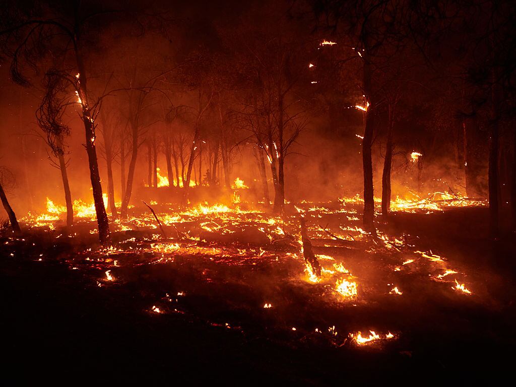 Incendio forestal ocurrido el 10 de agosto de 2025 en Carcastillo, Navarra, España. Foto de Eduardo Sanz/Europa Press vía Getty