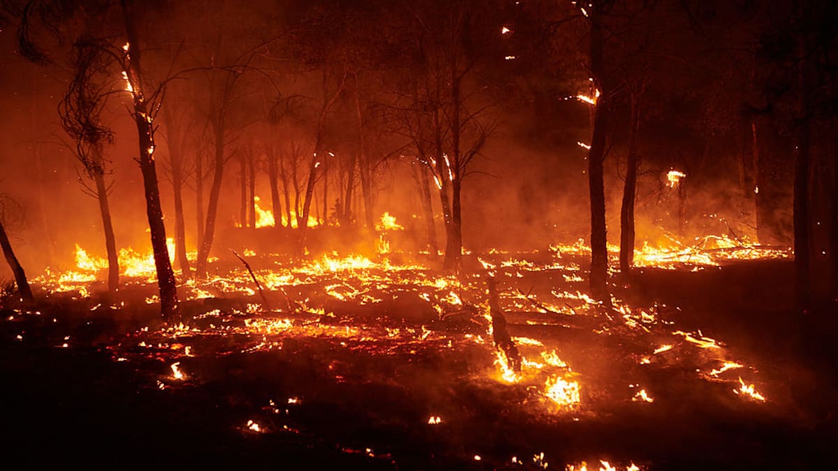 Ola de calor extremo no da tregua en Europa: incendios en España y en países del Mediterráneo