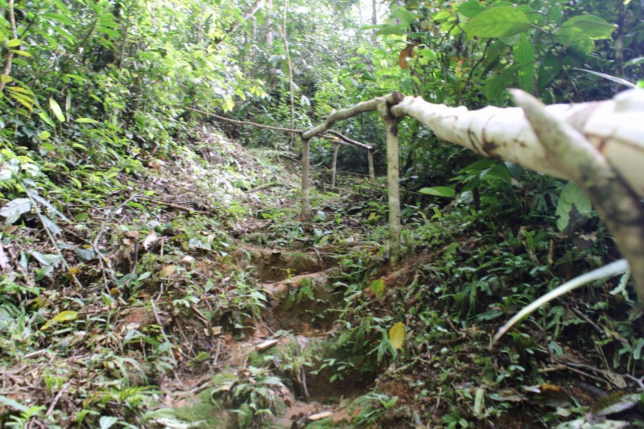 El sendero ecoturístico recorre bosques, nacimientos de agua y sitios de importancia cultural, con el objetivo de conservar la biodiversidad. | Foto: Jose Garcia Ciscué.