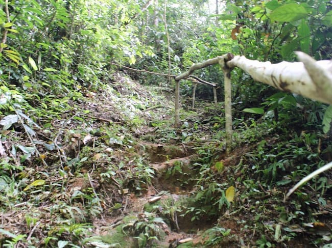 El sendero ecoturístico recorre bosques, nacimientos de agua y sitios de importancia cultural, con el objetivo de conservar la biodiversidad. | Foto: Jose Garcia Ciscué.