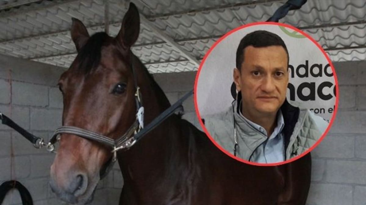 Alerta en Córdoba por brote de encefalitis equina y desabastecimiento de vacunas