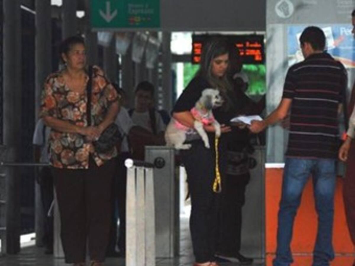 Controversia en el país por fallo de la Corte sobre mascotas en transporte público