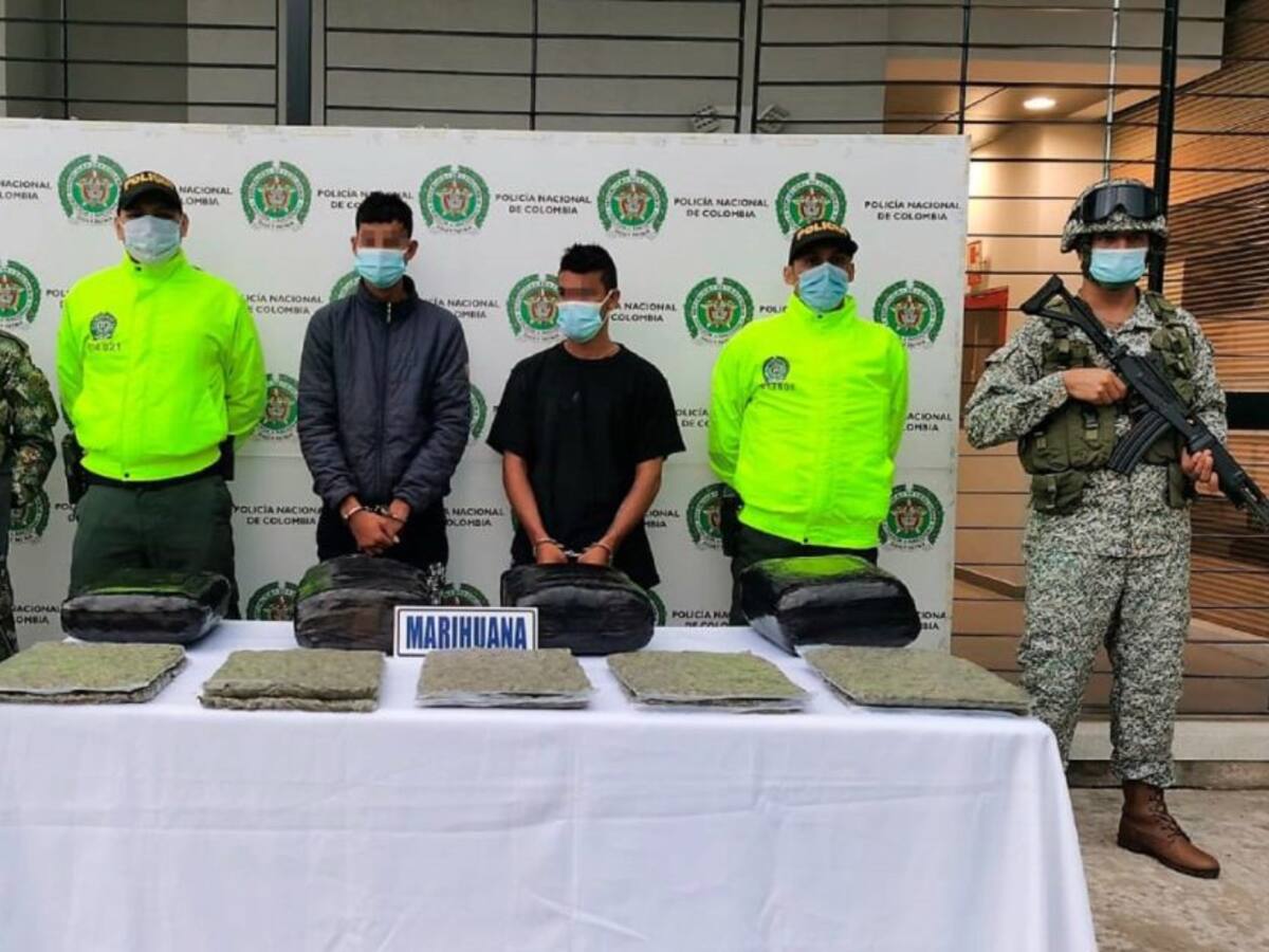 Incautan más de 24 mil dosis de marihuana en Florencia