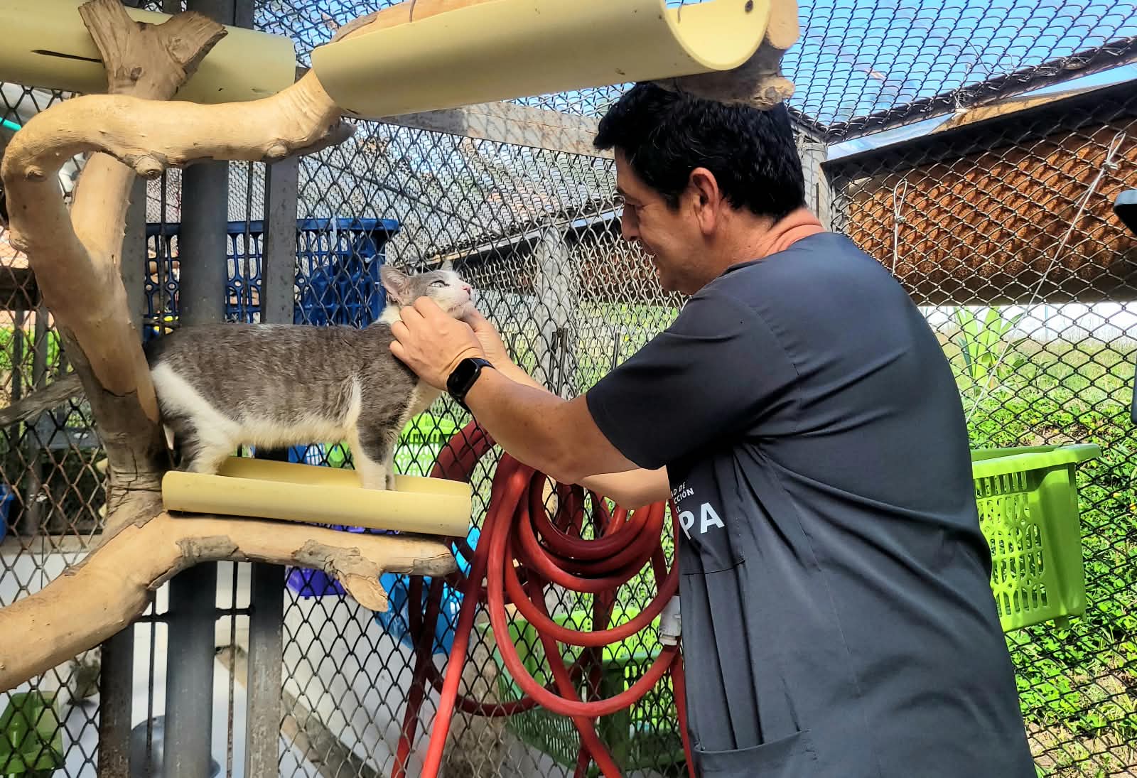 Raúl Acosta, médico veterinario de la UPA con uno de los felinos damnificados del terremoto.