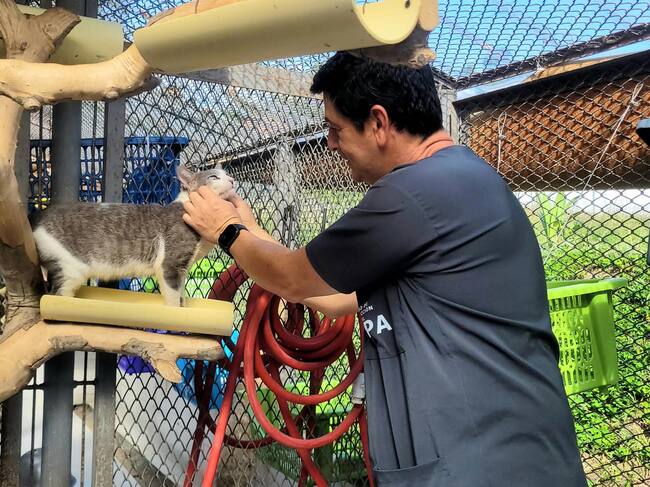 Raúl Acosta, médico veterinario de la UPA con uno de los felinos damnificados del terremoto.
