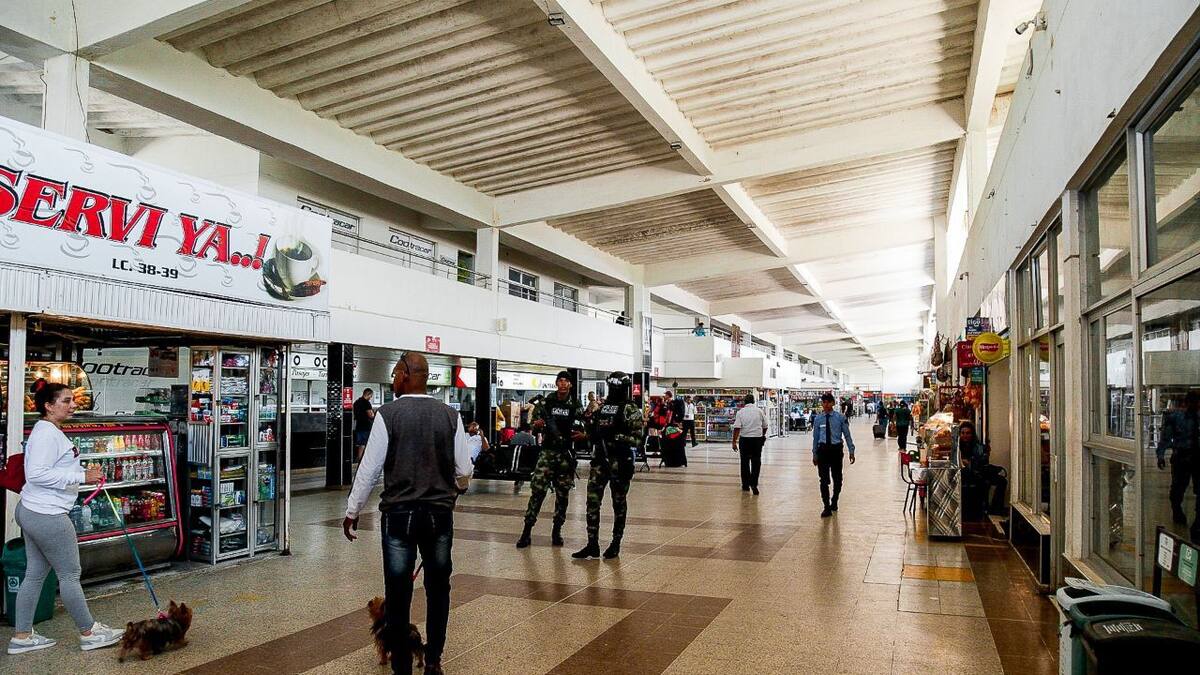 Terminal samaria prevé la llegada de 150 mil usuarios en temporada de mitad de año