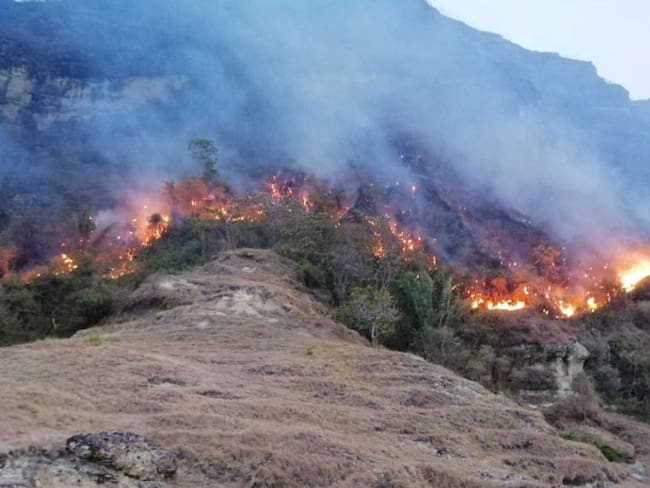 El 98 % de los incendios forestales han sido extinguidos