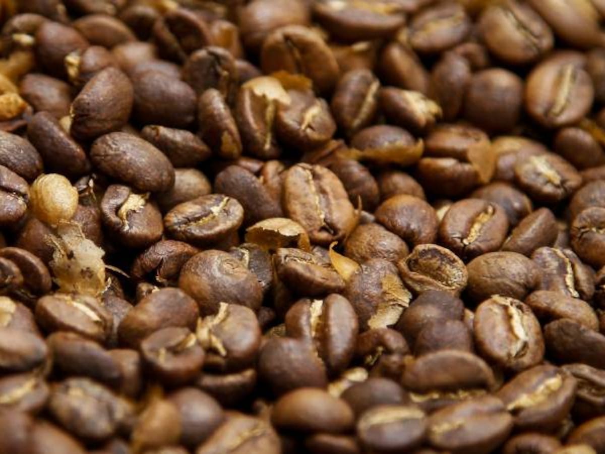 Colombia tiene capacidad de producir 16 millones de sacos de café