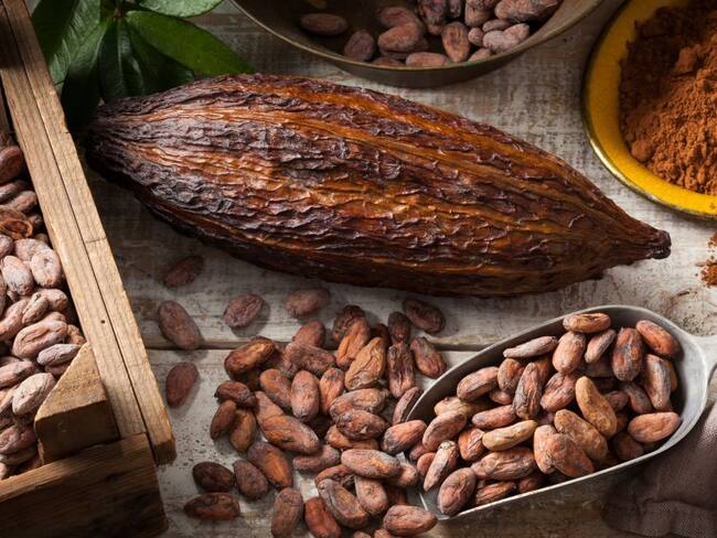 Colombia renovará 70.000 hectáreas de cacao envejecido
