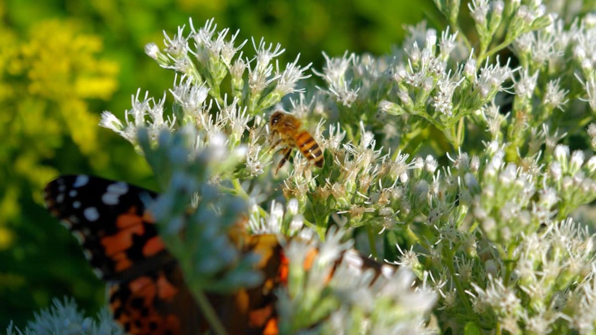 Conocer la muerte para amar nuestra vida.