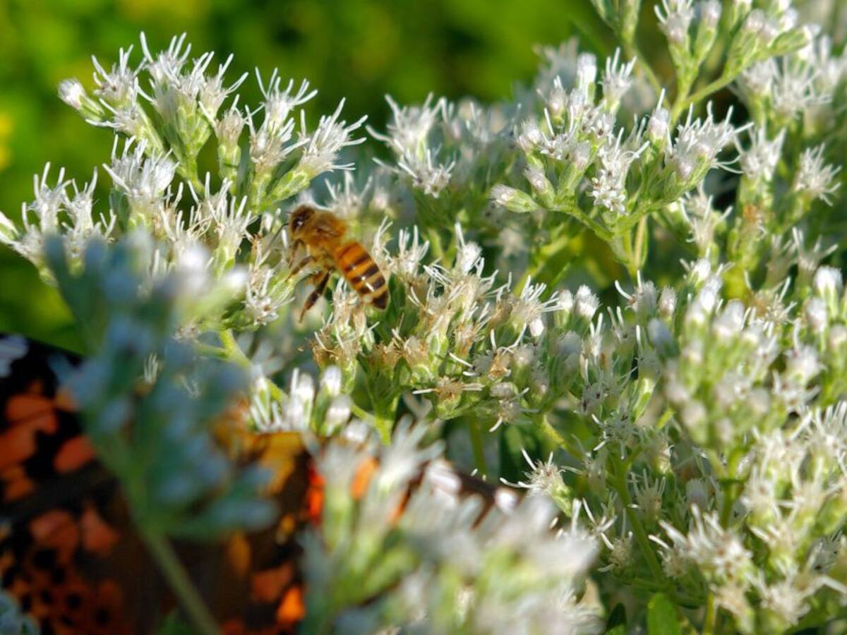 Conocer la muerte para amar nuestra vida