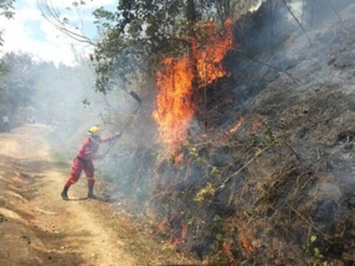 Alertan por posibles incendios forestales en varias regiones