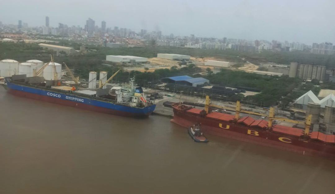 Imagen de referencia