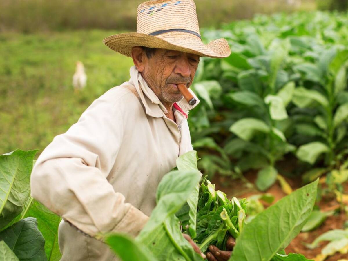 Prácticas para contribuir a la protección de los suelos