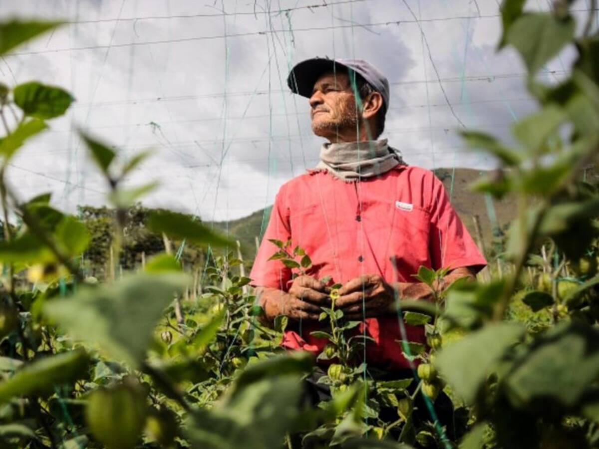 Con Brigadas Agrarias, el Magdalena le apuesta a una mejor competitividad